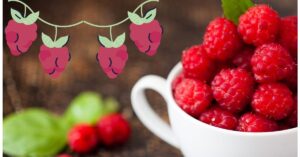Beneficios de las frambuesas