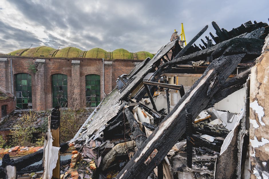 Las graves consecuencias de la contaminación