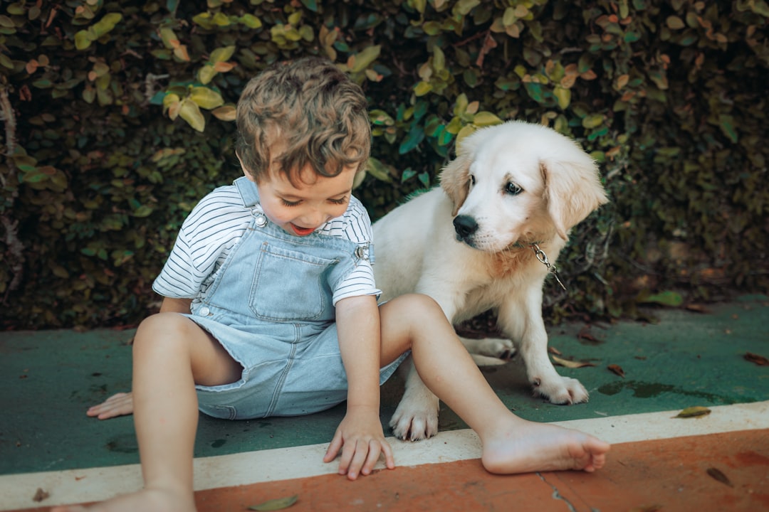No todos los perros son el mejor amigo del hombre (o del niño)