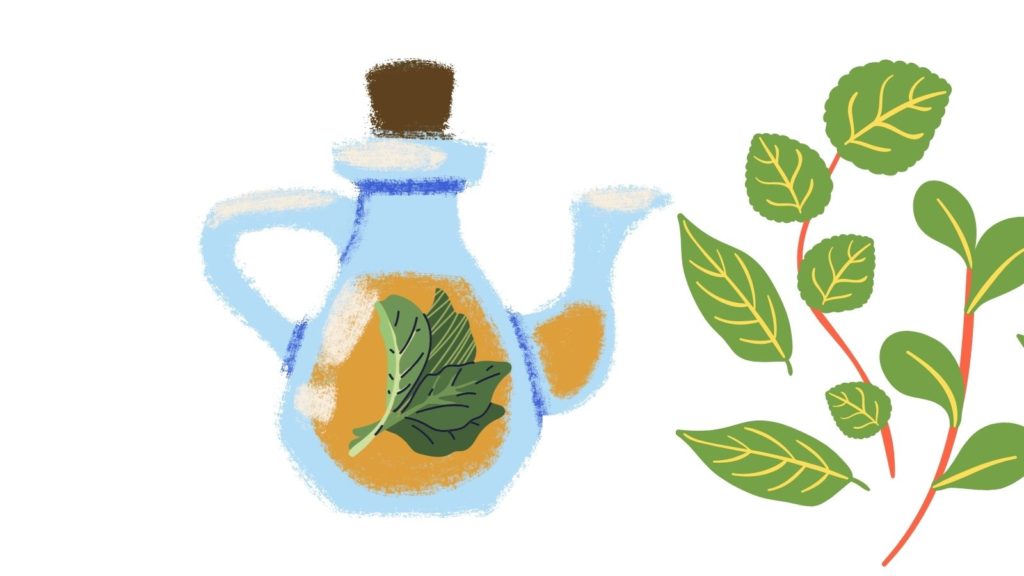 Propiedades del Orégano