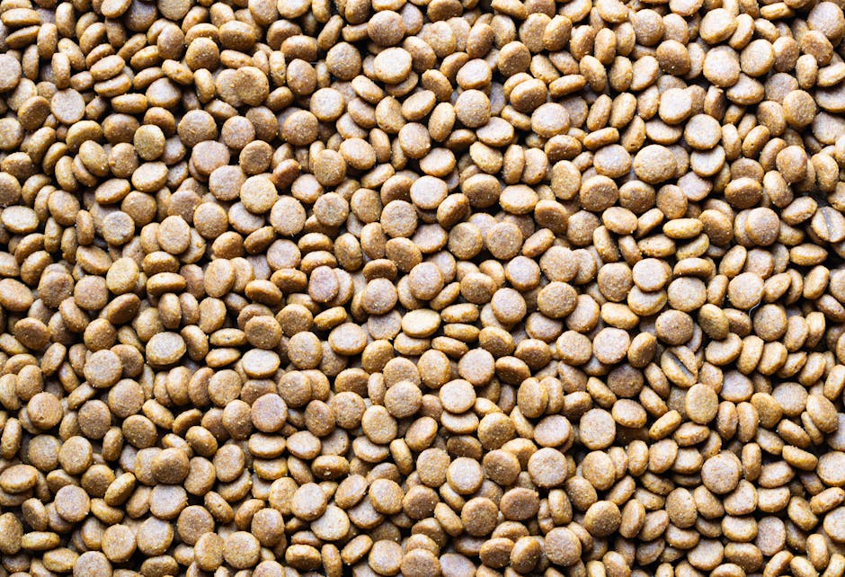 Alimentos que aumentan la energía