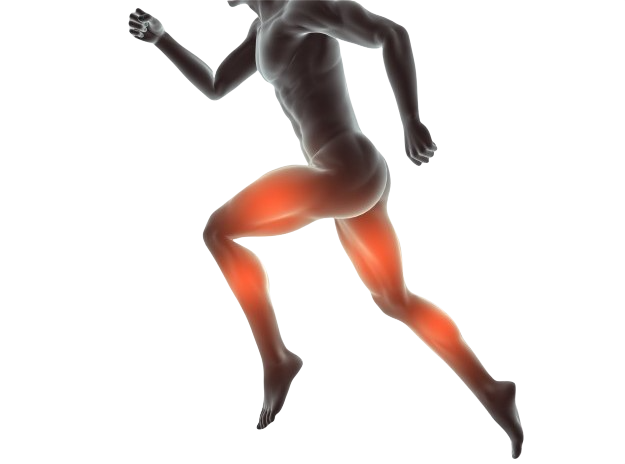 ¿Que es una rotura fibrilar?