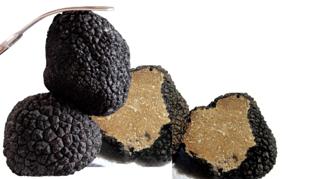 Beneficios de la trufa negra
