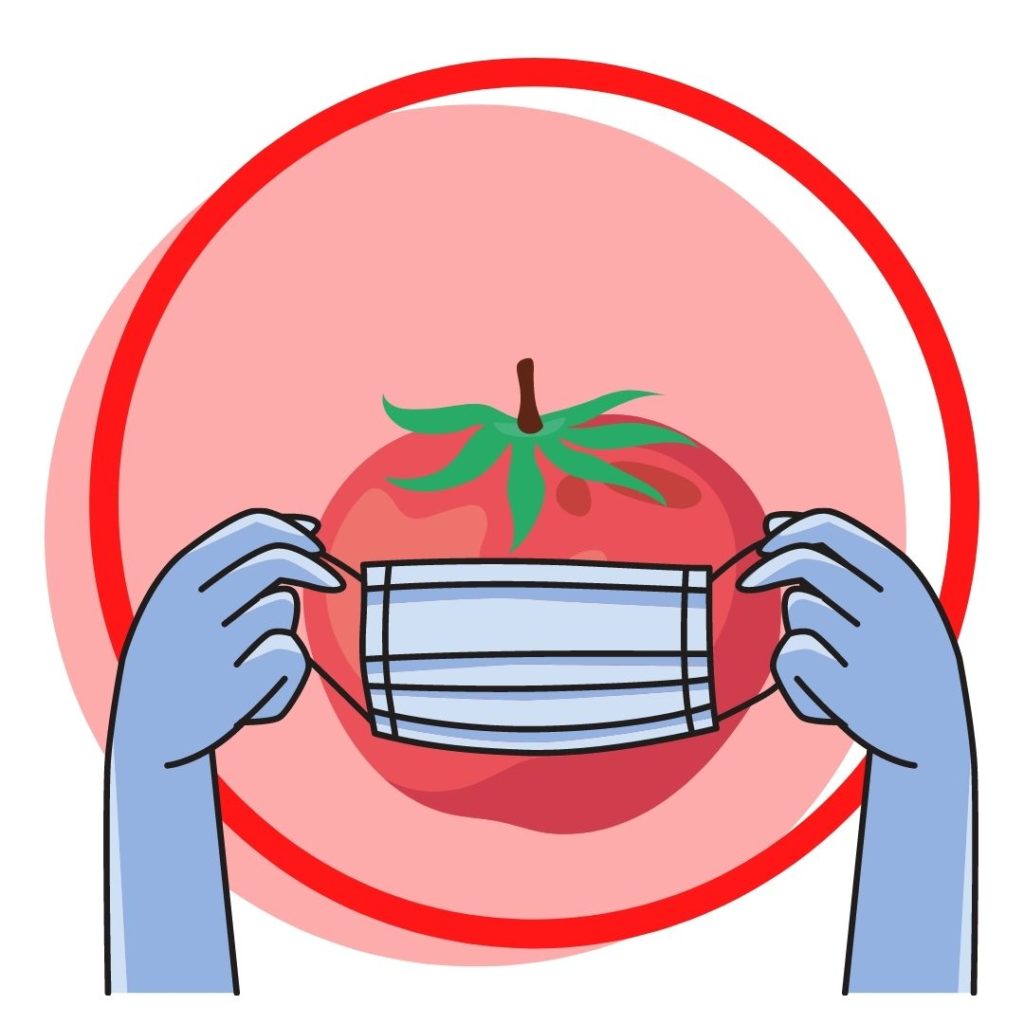 Enfermedades del tomate