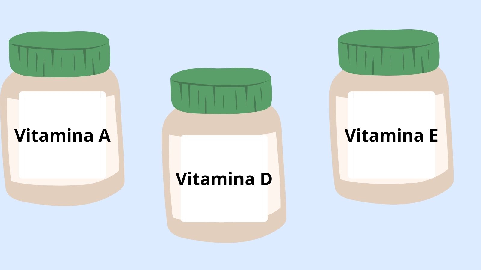 Vitaminas fundamentales para el organismo