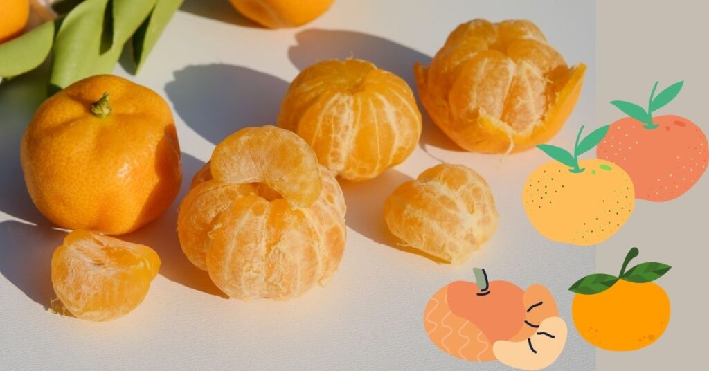 Tipos y beneficios de la mandarina