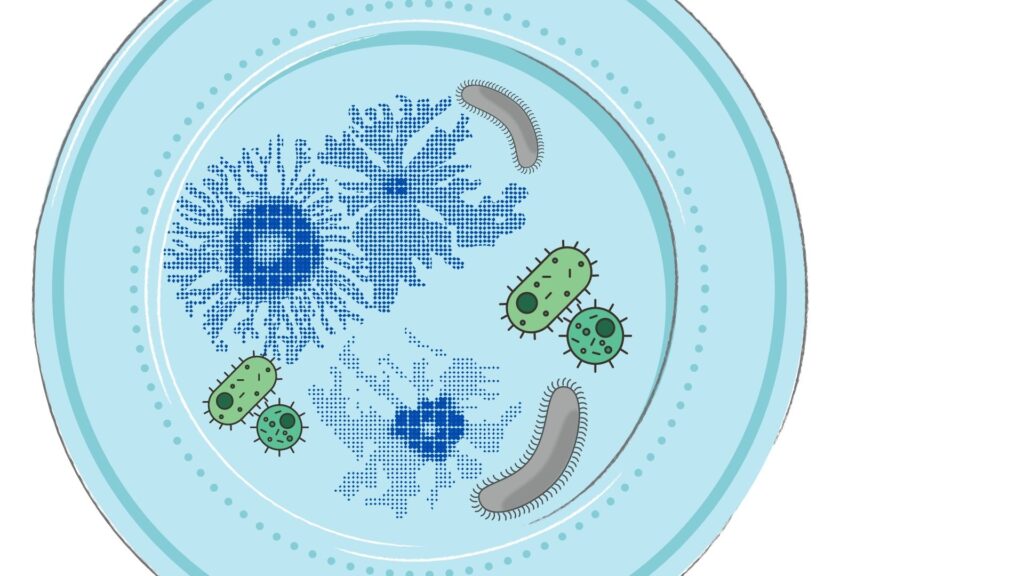 Hongos mas peligrosos para la salud