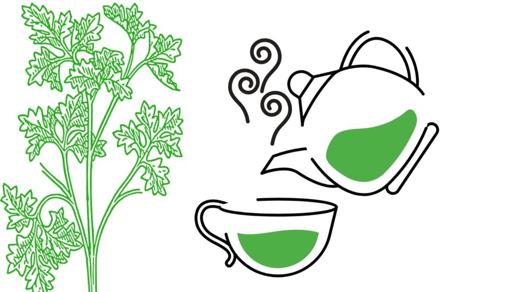 Infusión de Perejil 🍵