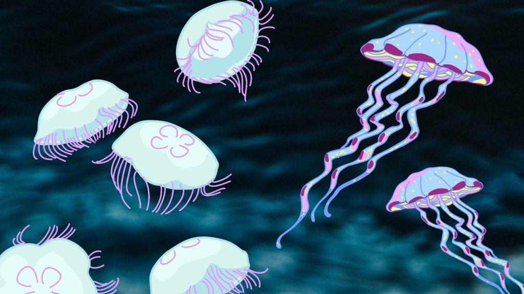 Picaduras de medusas I