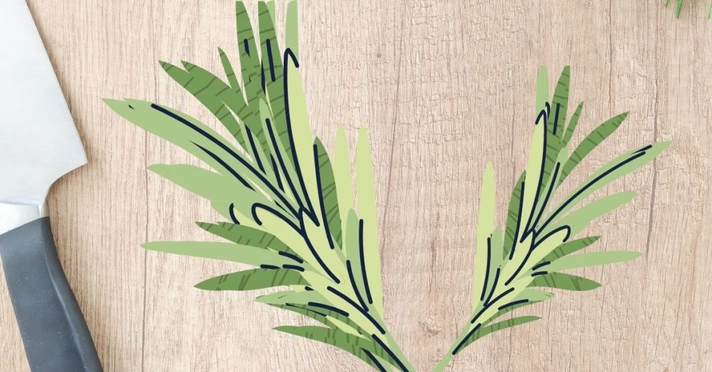 Usos del romero en salud