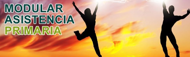 DKV Modular Asistencia Primaria