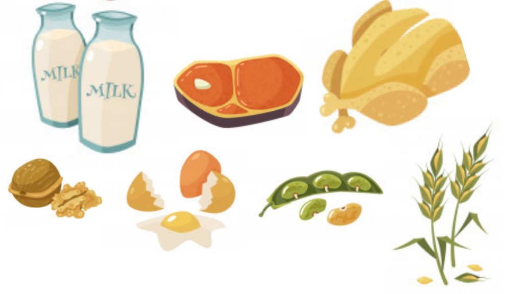 Fuentes de proteína