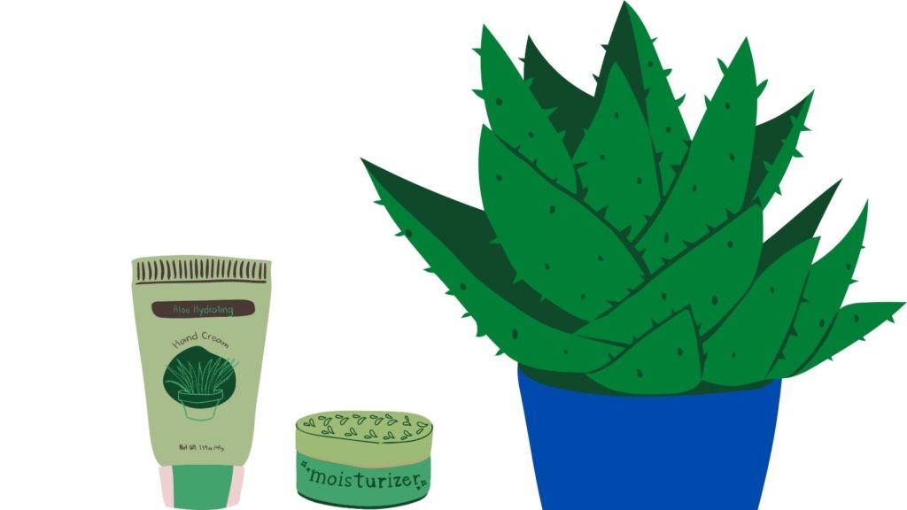 Beneficios del Aloe Vera