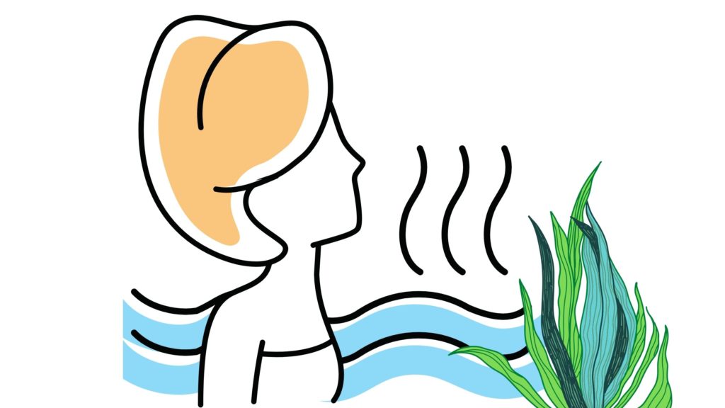 Tipos de Talasoterapia