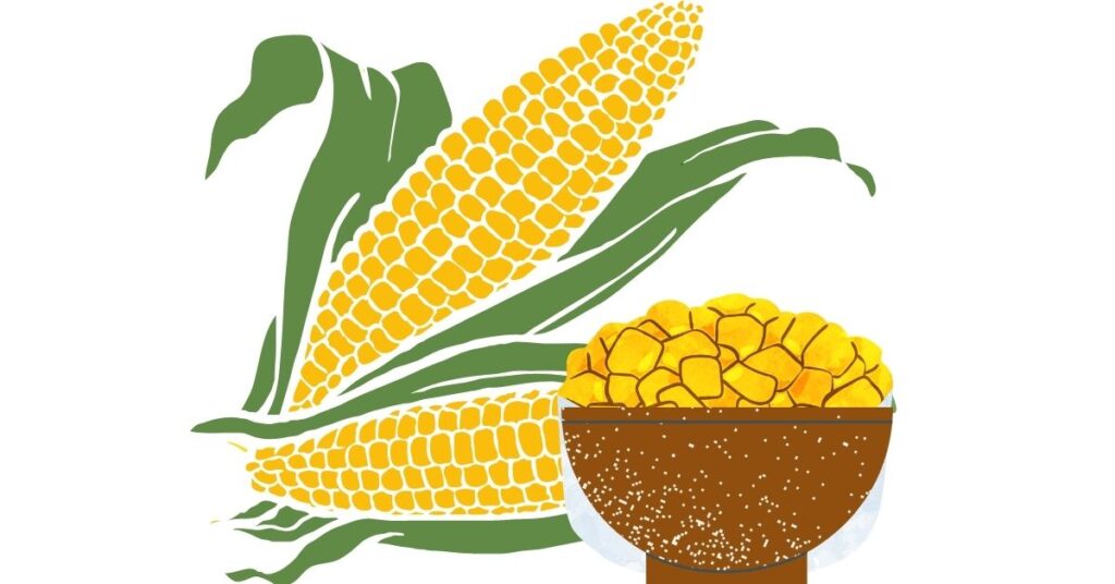 Valor nutricional del maiz