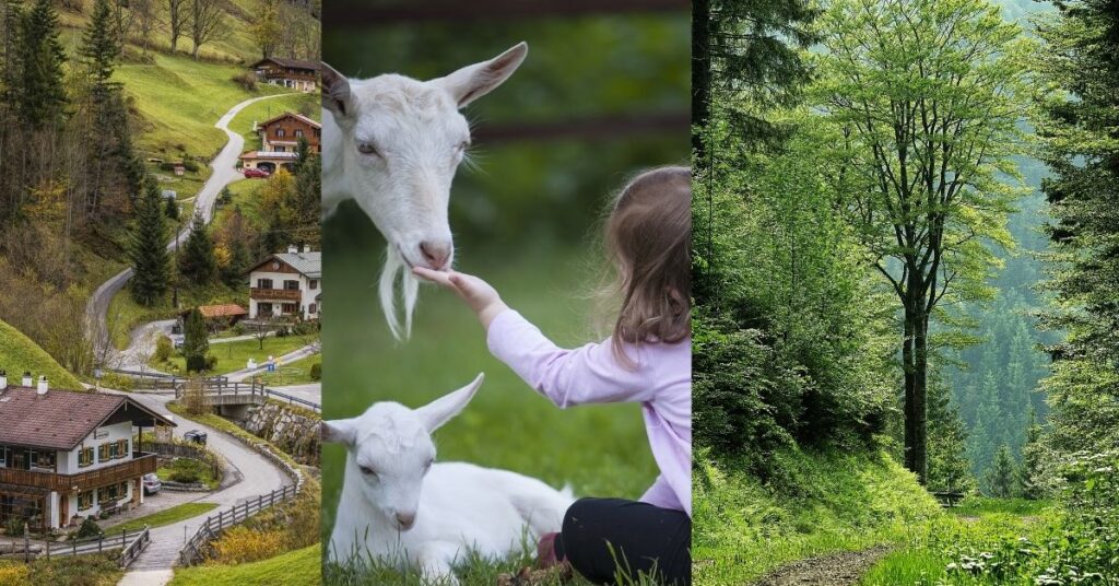 Vivir en un entorno rural