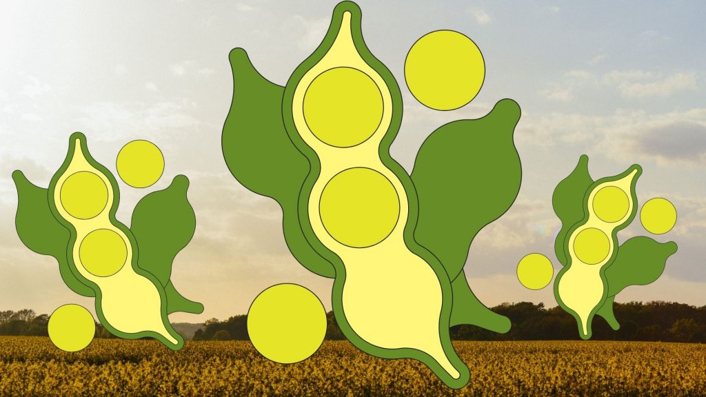 Beneficios de la soja