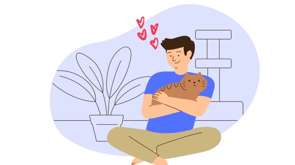 ¿Qué es la ailurofilia?