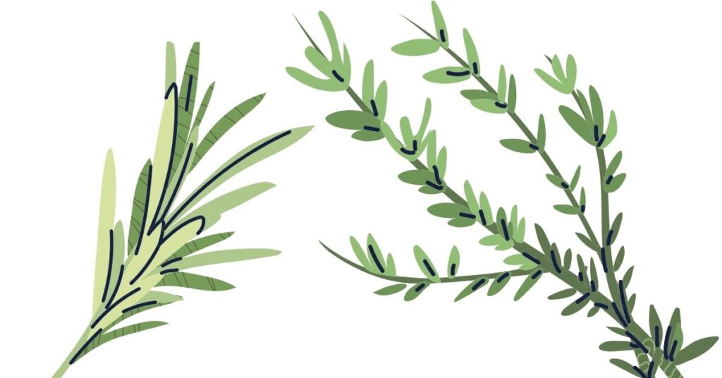 Romero para salud y bienestar