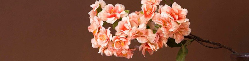 Santalucía Temporal Renovable