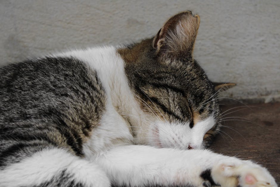 Consejos para evitar problemas de insomnio