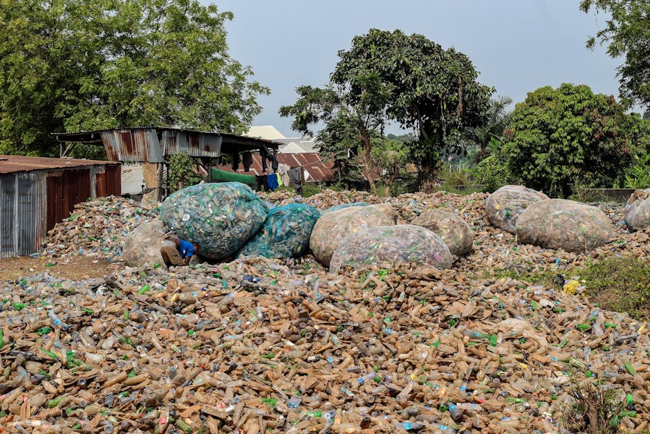 Contaminación por plásticos y salud