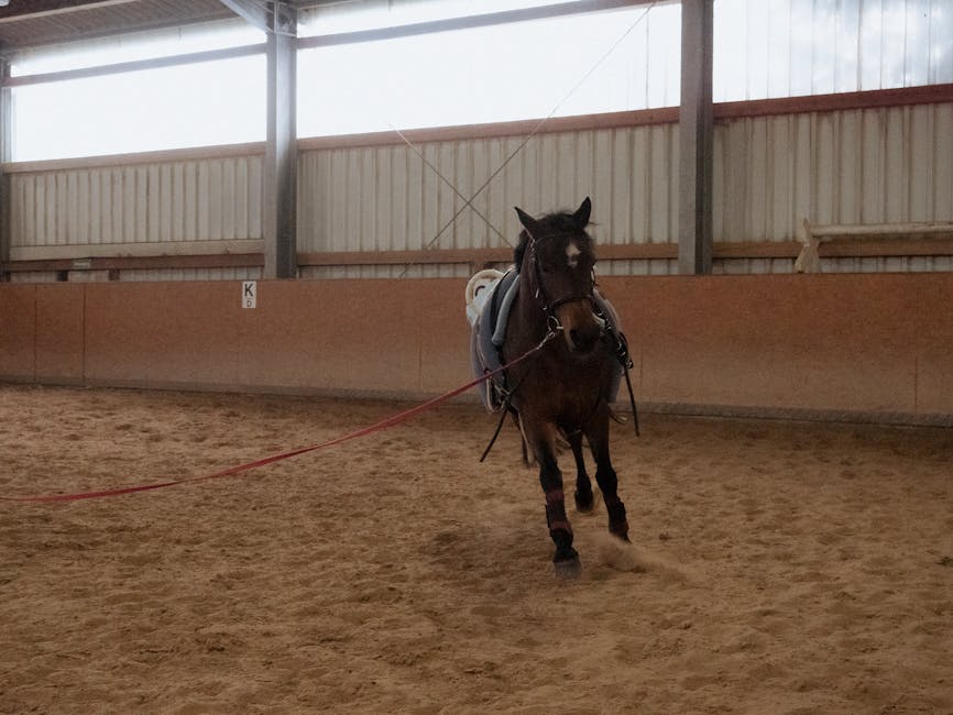 Mejora la capacidad pulmonar
