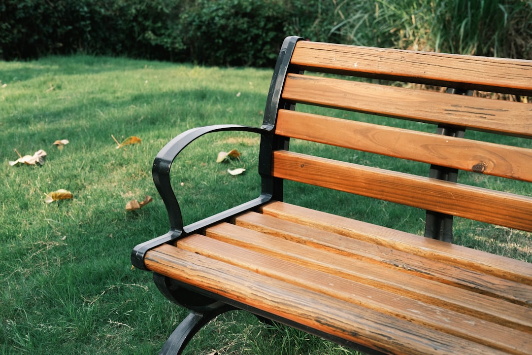 Alivia las picaduras de mosquitos