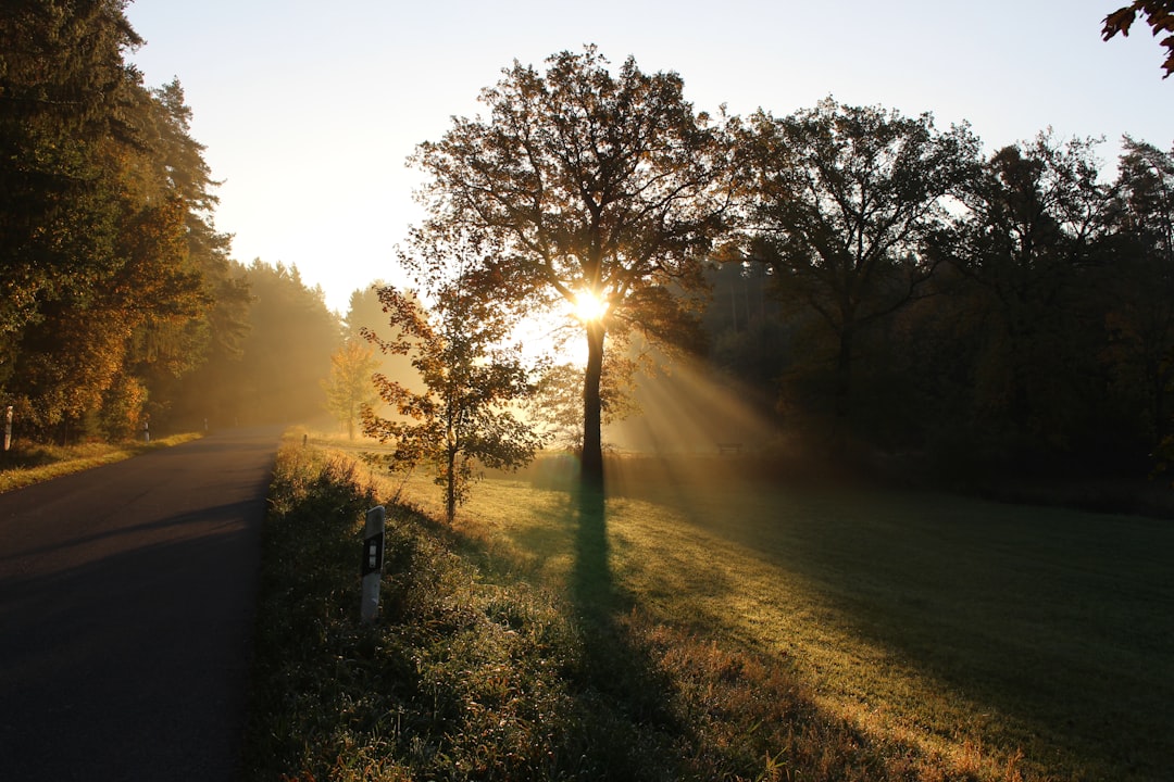 ¿Sabías que la luz del día influye directamente en tu reloj biológico?