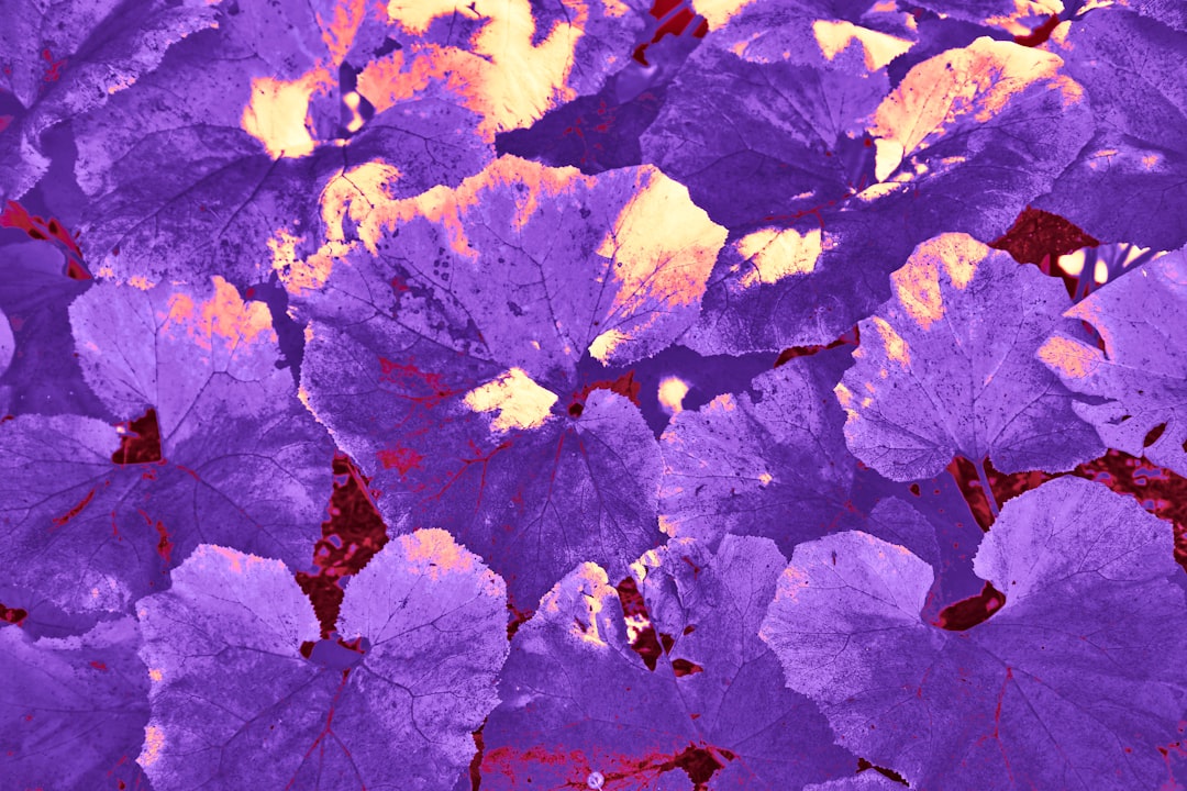 💜 Día de la Conciencia sobre la Epilepsia