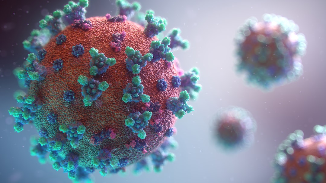 Hantavirus: qué es, síntomas, prevención