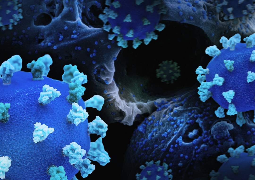 VIRUS SHAMONDA: ¿QUÉ SABEMOS Y CÓMO PODEMOS CUIDAR DE NUESTRA SALUD?
